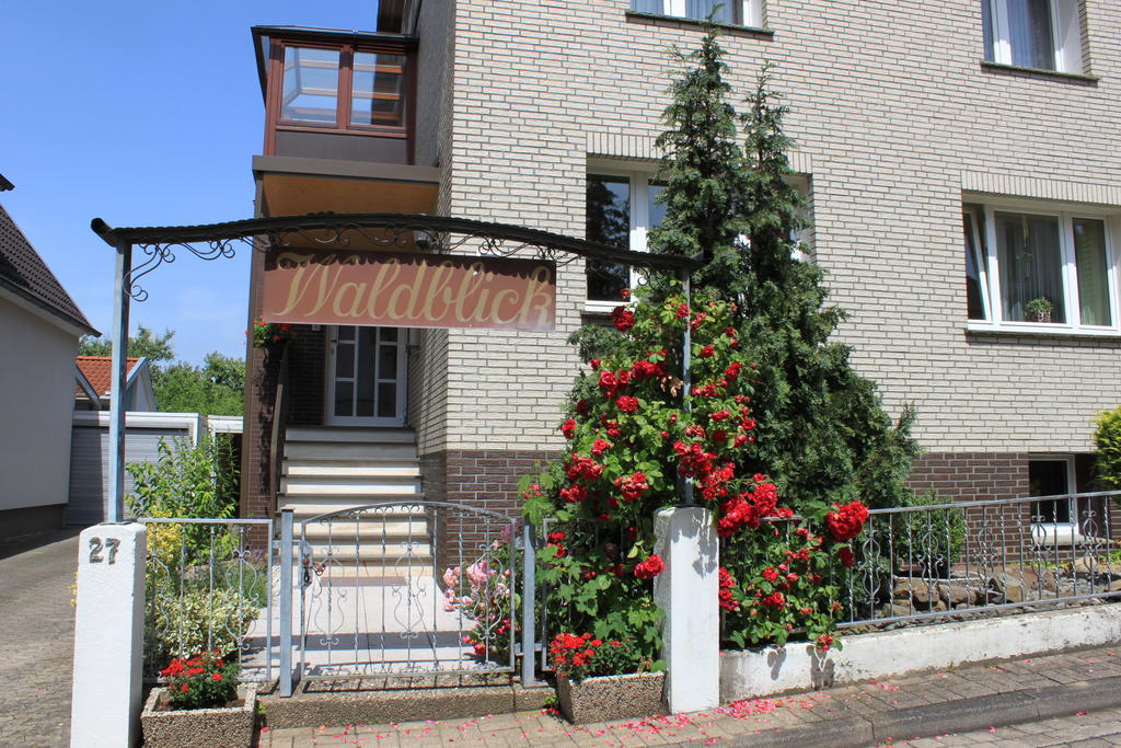 Ferienquartier Waldblick Hotell Lügde Exteriör bild